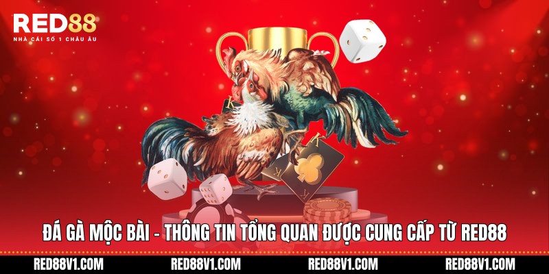 đá gà Mộc Bài